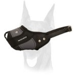Agitation training Doberman muzzle