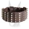 Extra wide 3 inch spiked and studded leather collar for Doberman