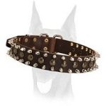 Amazing "Spiky" leather collar with spikes and studs for your Doberman