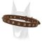 Leather decorated collar with attractive brass studs for Doberman