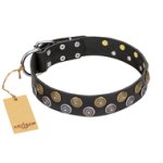'Romantic Breeze' FDT Artisan Leather Doberman Collar with Sparkling
