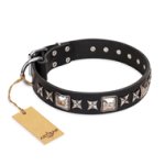 'Space Walk' FDT Artisan Black Leather Doberman Dog Collar with Adornments