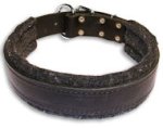 Wide Stitched Leather Dog Collar-D Ring in Front Doberman