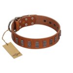 "Silver Century" Fashionable FDT Artisan Tan Leather Doberman Collar with Silver-Like Plates