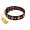 "Retro Pusle" FDT Artisan Brown Leather Doberman Collar with Old Bronze-like Studs and Oval Brooches