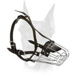 Training and Walking Light Weight muzzle for Doberman