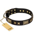 'Passion for Style and Beauty" FDT Artisan Black Leather Doberman Collar with Brass-plated Decor