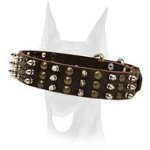 Gorgeous spiked and studded leather collar for Doberman