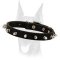 Fancy designed elegant spiked leather collar