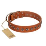 "Star Trek" FDT Artisan Tan Leather Doberman Collar Decorated with Stars