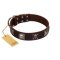"Nut-Brown Finery" Embellished FDT Artisan Brown Leather Doberman Collar with Chrome Plated Crossbones and Plates
