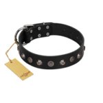 "Black Knight" Handmade FDT Artisan Black Leather Doberman Collar with Silver-Like Studs