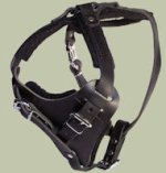 Durable Dog Harness-Leather Dog Harness for Doberman