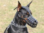 Everyday Lightweight Super Ventilation Doberman muzzle