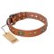 'Stunning Dress' FDT Artisan Tan Leather Doberman Collar with Brass-plated Decor - 1 1/2 inch (40 mm) wide