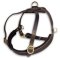 Selling Leather Roading Dog Harness for Doberman