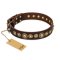 'Ancient Warrior' Doberman Brown Leather Dog Collar