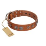 "Brave Spirit" Handmade FDT Artisan Designer Tan Leather Doberman Collar with Shields