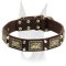 Elegant leather Doberman collar with vintage massive plates and pyramids