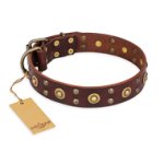 'Caprice of Fashion' FDT Artisan Doberman Brown Leather Dog Collar with Round Decorations