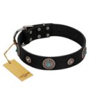 "Blue Gems" FDT Artisan Black Leather Doberman Collar with Chrome Plated Studs and Conchos