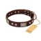 "Pirate Skull" FDT Artisan Brown Leather Doberman Collar with Old Silver Look Plates and Skulls