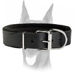 Soft Thick felt padded Doberman Leather Collar