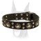 Leather Doberman Collar With Mix of Decorations