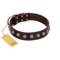 "Lucky Silver" Designer Handmade FDT Artisan Brown Leather Doberman Collar