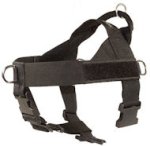 Nylon Companion Safety Harness for Doberman