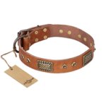 'Catchy Look' FDT Artisan Decorated Tan Leather Doberman Collar