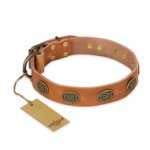 'Magic Amulet' FDT Artisan Tan Leather Doberman Collar with Oval Studs