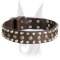 Perfect fit handmade leather Doberman collar with studs and pyramids