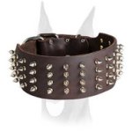 Handmade leather collar with silver-like spikes for Doberman