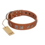 "Antique Figures" FDT Artisan Tan Leather Doberman Collar with Silver-like Engraved Plates