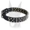 Spiked Leather Doberman Collar for Any Kind of Work