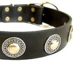 Deluxe Leather Dog Collar with jewelry for Doberman