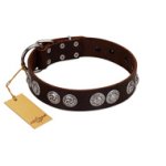"High and Mighty" FDT Artisan Classy Brown Leather Doberman Collar with Embellished Brooches