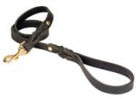Looking for PETCO Twisted Leather Lead for Doberman?