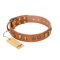 "Natural Beauty" FDT Artisan Tan Leather Doberman Collar with Old Bronze-like Circles and Plates