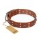 'Silver Elegance' FDT Artisan Tan Leather Doberman Collar with Old Silver-Like Plated Studs and Cones 1 1/2 inch (40 mm) Wide
