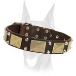 Gorgeous leather Doberman collar with massive plates and pyramids