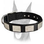 Gorgeous nylon collar with vintage massive plates for Doberman