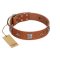 "Lucky Star" FDT Artisan Tan Leather Doberman Collar with Silver-Like Embellishments