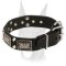 War-like leather collar with massive vintage plates and pyramids for Doberman