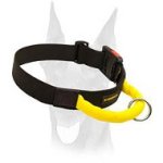 Everyday durable nylon Doberman collar with a handle