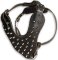 Have Spike Dog Harness Manufacturers