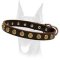 Gorgeous Leather Dog Collar With Dotted Circles
