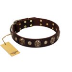 "Snazzy Paws" FDT Artisan Brown Leather Doberman Collar Adorned with Conchos and Medallions