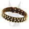 Luxury Design Leather Collar with Spikes and Studs for Doberman